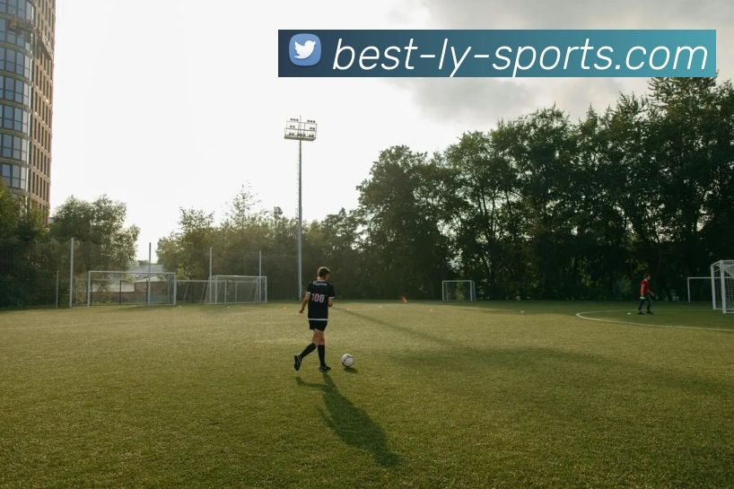 乐鱼体育APP 封面图